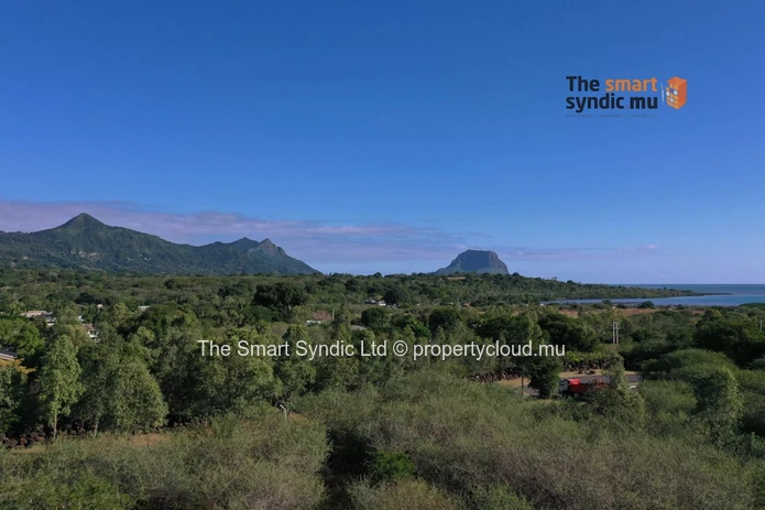 Luxury 4-Bedroom Villas – A Refined Living Experience in the Heart of Nature