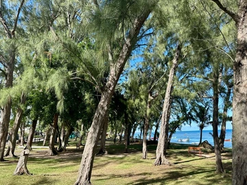 Residential Land