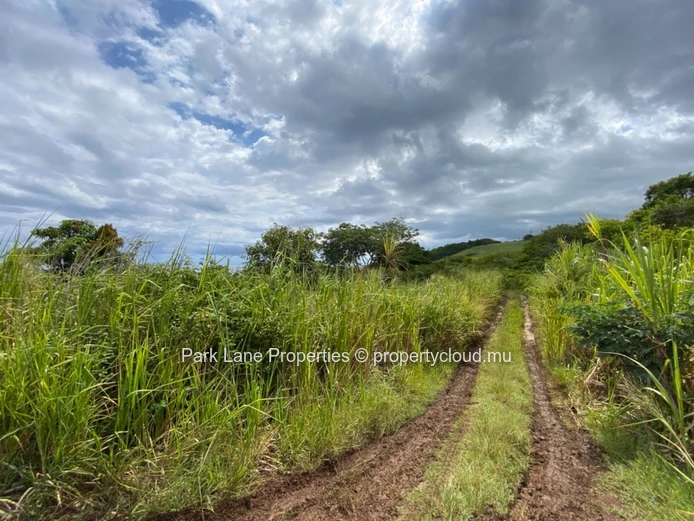Large plot for future development