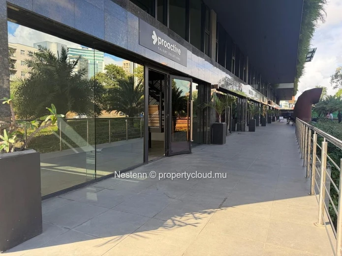 Espaces bureaux de 246m2