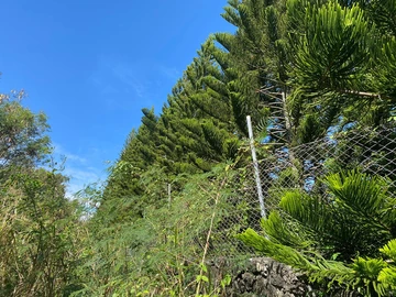 Terrain Résidentiel