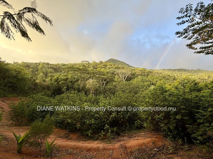 Agricultural Land for Sale in Chamarel | 10,276 m² Bordering Ebony Forest