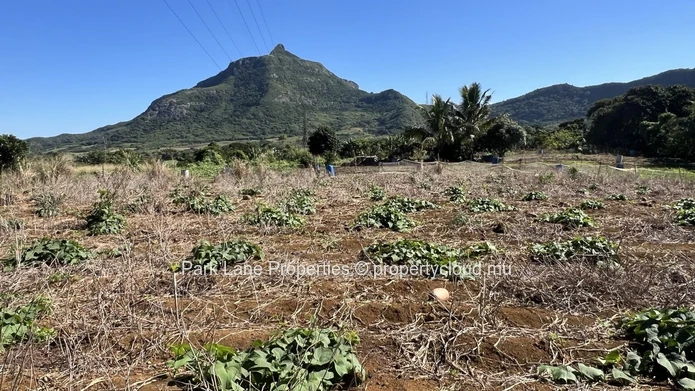 Terrain agricole avec vue panoramique sur les montagnes – L’Avenir
