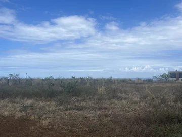 Terrain