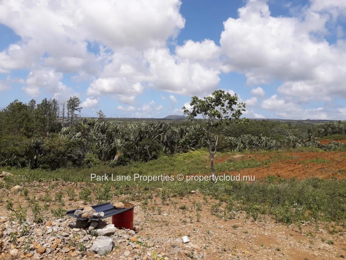 Land with wonderful nature view