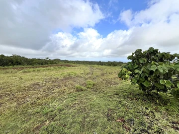 Residential Land