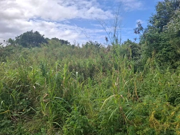 Terrain Résidentiel
