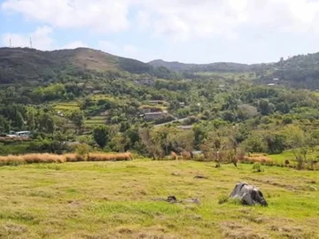 Land