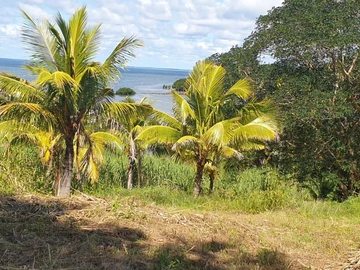 <br/>Desirable Large Block of Land with Superb Mountain and Sea Views! Superb Luxury, Surprisingly Affordable!