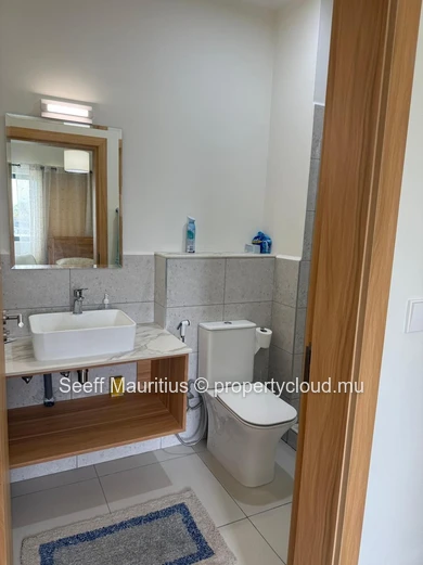  Appartement Moderne et Meublé de 1 Chambre à Riverpark Trianon