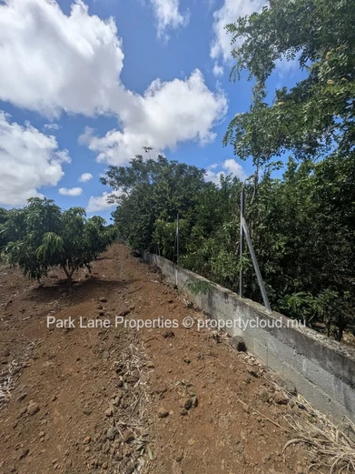 À vendre – Terrain résidentiel de 4 206 m² à Petit Raffray