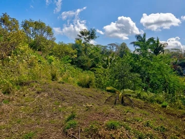 Residential Land