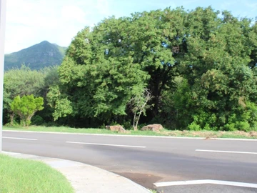 Residential Land