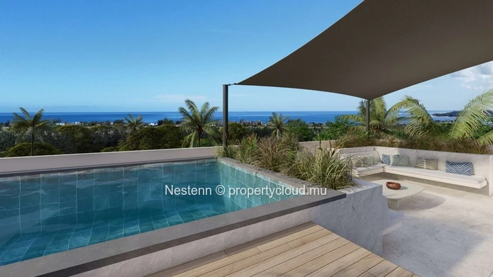 Penthouse with rooftop pool and panoramic view