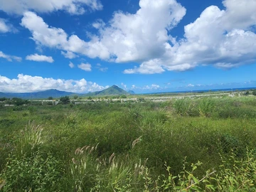 Residential Land