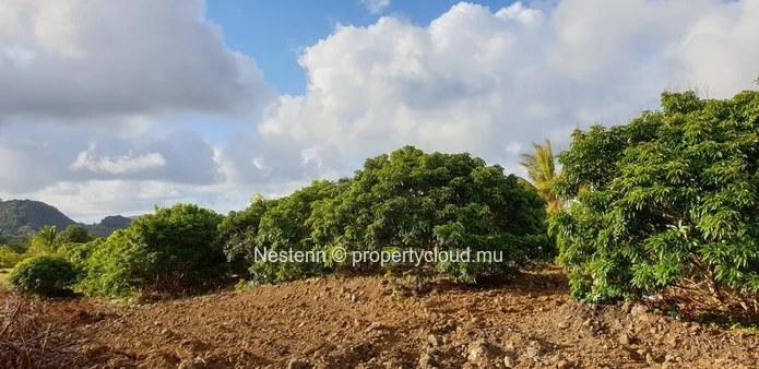  Agricultural Land 