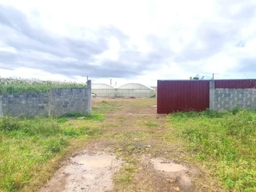 Agricultural Land
