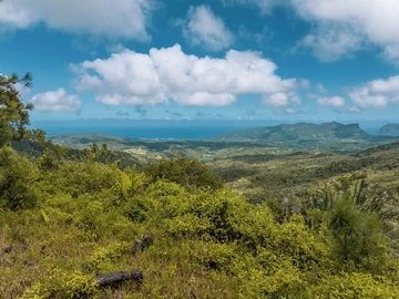 Commercial Land