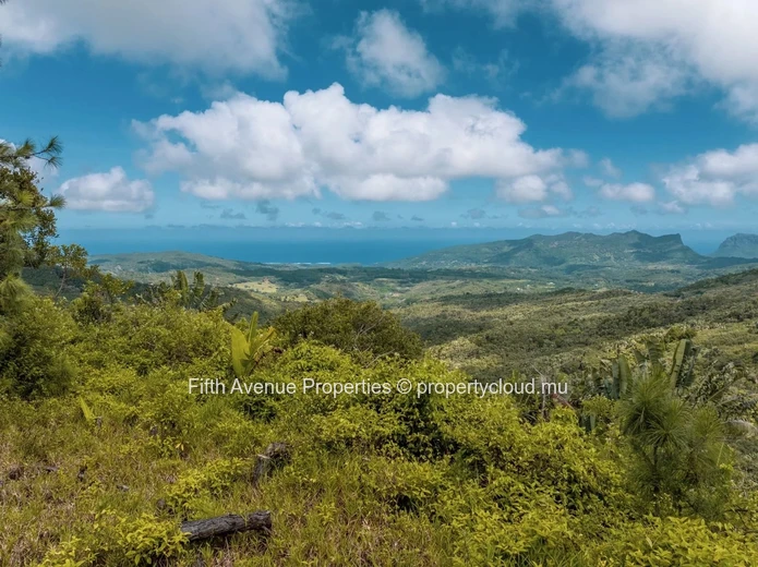 PLAINE CHAMPAGNE - TERRAIN  8900m2  COMMERCIAL