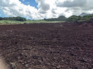 Terrain Agricole