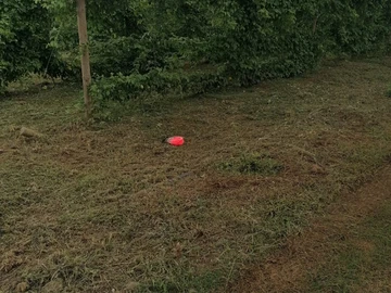 Agricultural Land