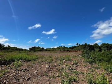Residential Land For Sale In Roche Terre