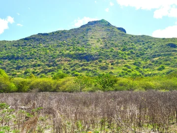 Residential Land