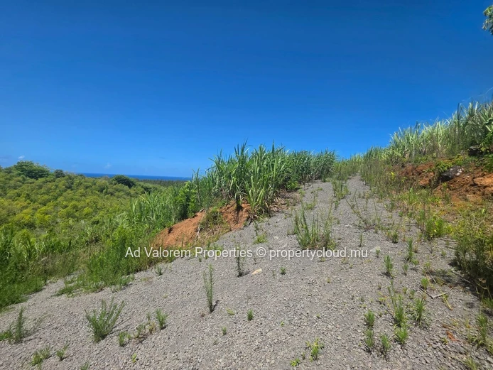 Grand Terrain Agricole à Vendre!