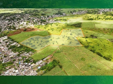 Terrain Agricole