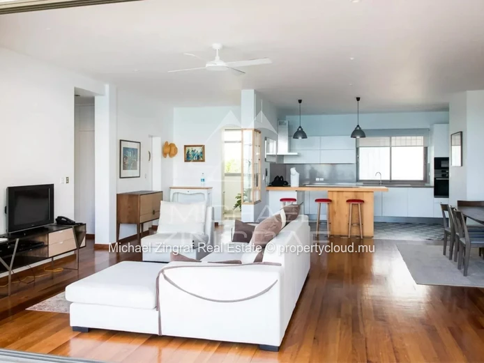 Penthouse pieds dans l'eau Roches Noires