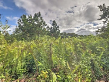 Residential Land