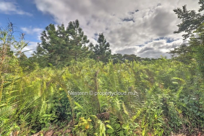 Exceptional residential plot 
