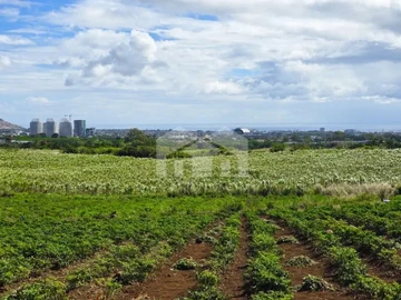 Terrain Agricole