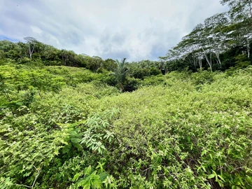 Agricultural Land