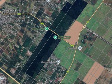 Land