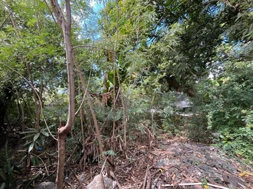 Land