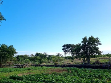 Agricultural Land