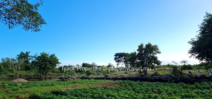 Terrain Agricole Clôturé à Vendre à Sainte Antoine – Quartier Résidentiel