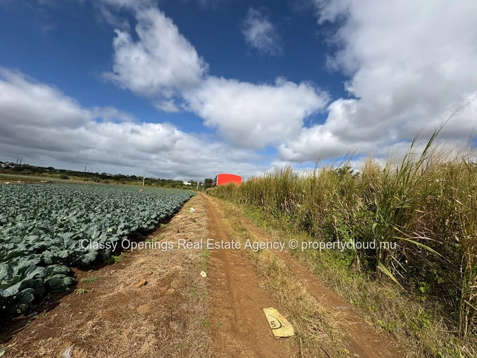 2110 m² Phoenix Commercial Land — Mountain Views, Near Bus & Shops