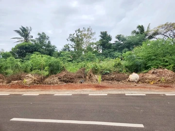Commercial Land