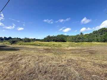 Land