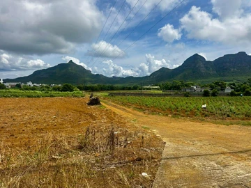 Terrain Agricole