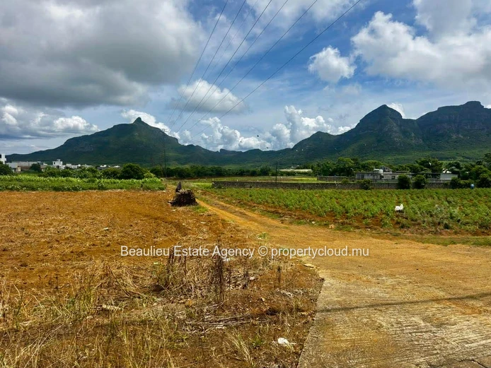 Terres agricoles à vendre – L’Avenir, St Pierre