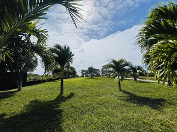 Terrain