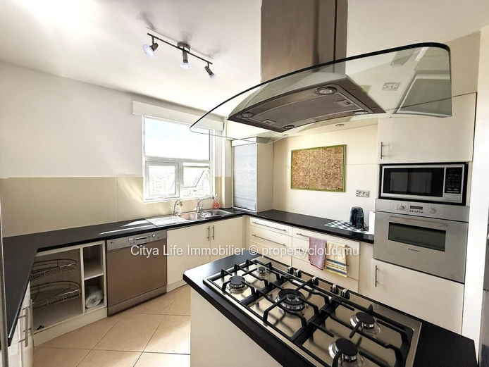 Ce spacieux et luxueux penthouse est désormais disponible à la vente !