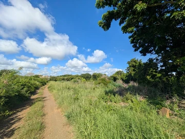 Residential Land
