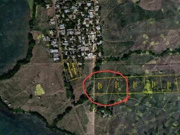 Agricultural Land