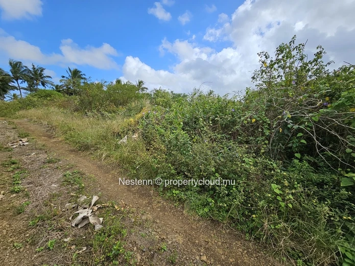 Agricultural Land of 8,146.10m² 