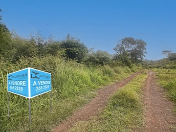 Terrain