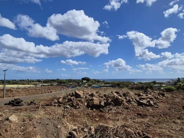 Terrain